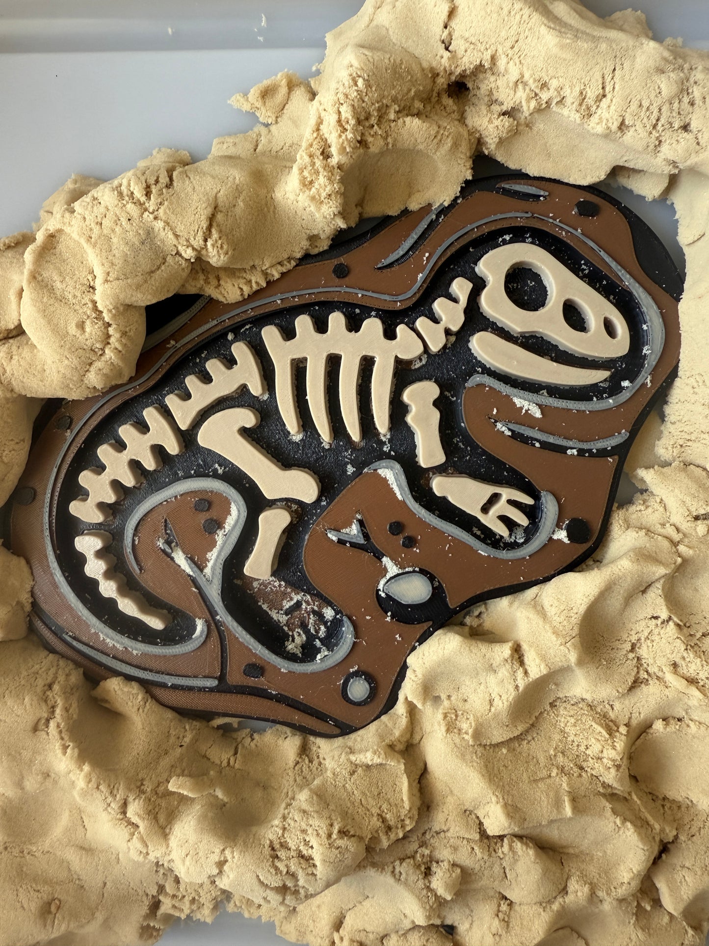 Fósil puzzle dinosaurio